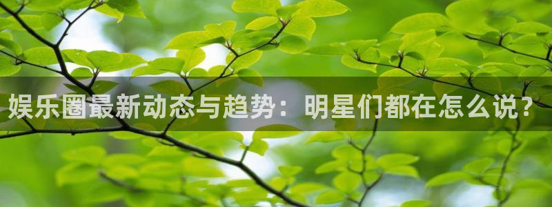 富邦娱乐