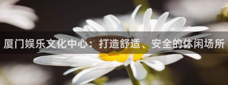 富邦娱乐