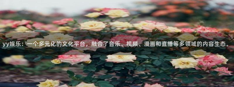 富邦娱乐